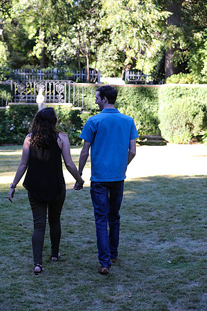 Stephen's Proposal to Morgan 2016