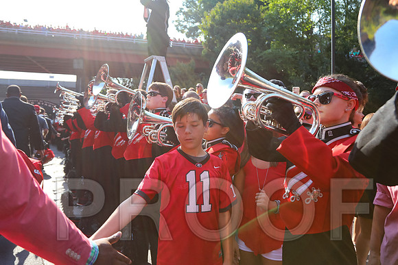Georgia vs Nicholls 2016 Football
