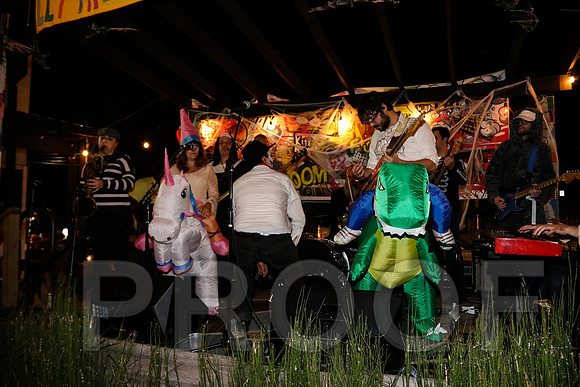 Wild Rumpus Parade 2016