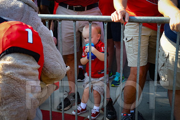 Georgia vs Nicholls 2016 Football
