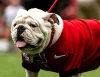 UGA X