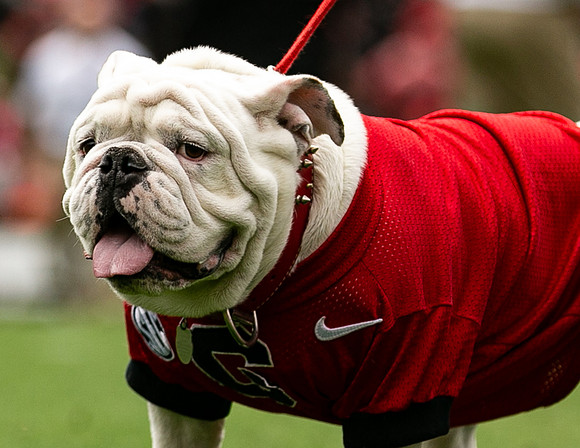 UGA X