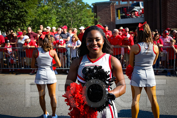 Georgia vs Nicholls 2016 Football
