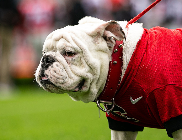 UGA X