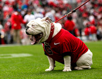 UGA X