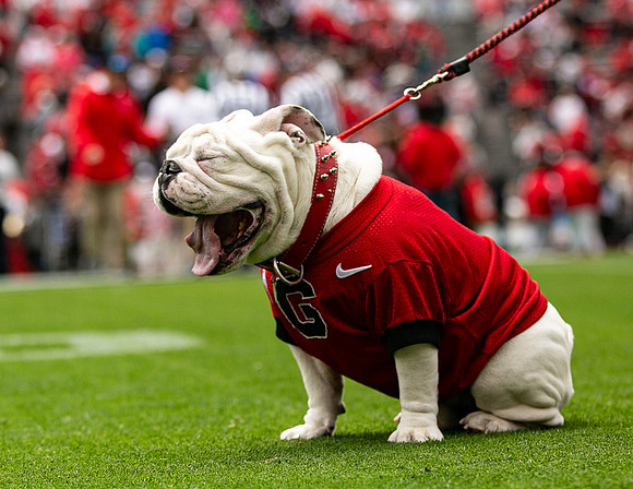 UGA X
