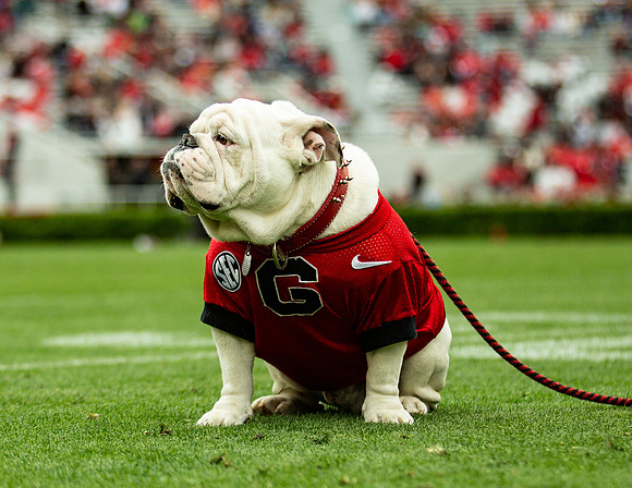UGA X