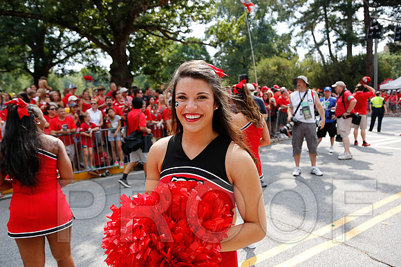 Georgia vs Clemson 2014