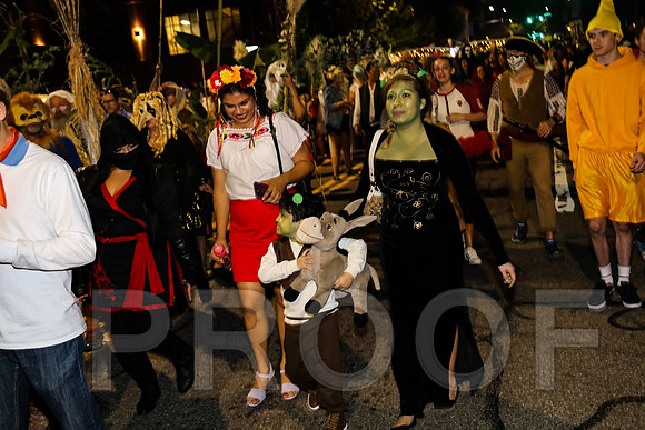 Wild Rumpus Parade 2016