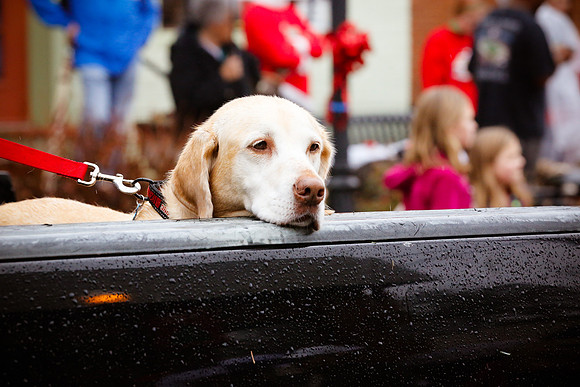 Watkinsville Christmas Parade