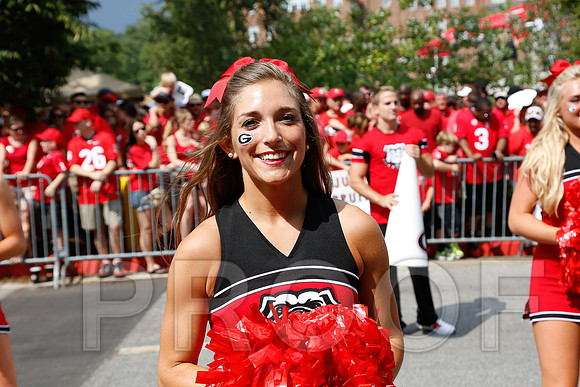 Georgia vs Clemson 2014