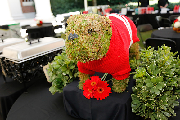 Terry College Homecoming 2014