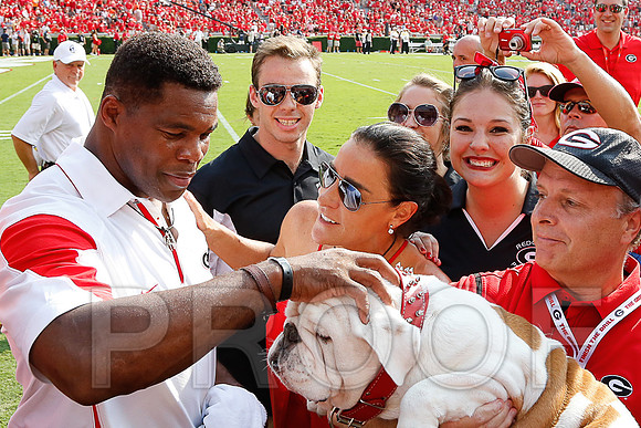 Georgia vs Clemson 2014
