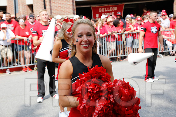 Georgia vs Clemson 2014