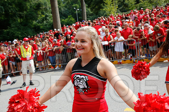 Georgia vs Clemson 2014