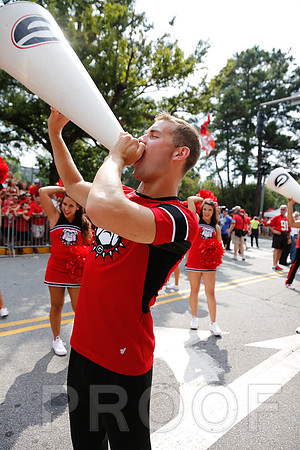 Georgia vs Clemson 2014