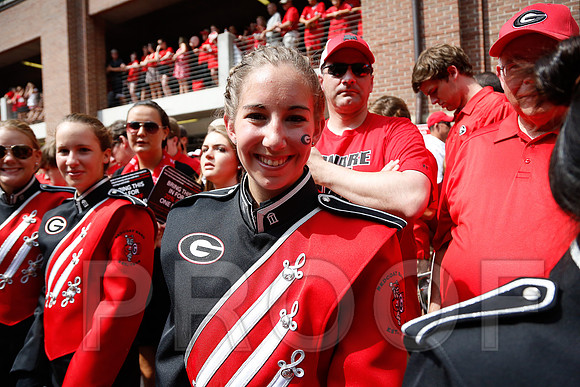 Georgia vs Clemson 2014