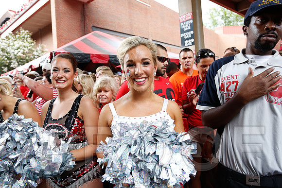 Georgia vs Clemson 2014