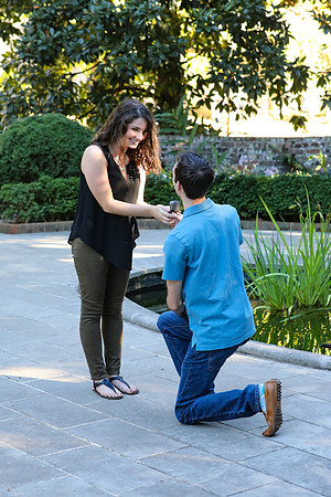 Stephen's Proposal to Morgan 2016