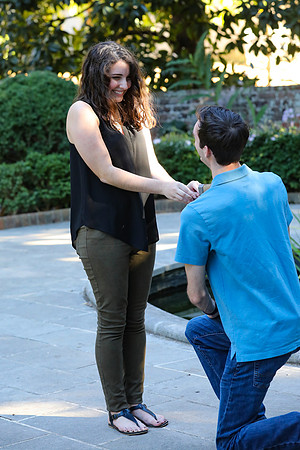 Stephen's Proposal to Morgan 2016