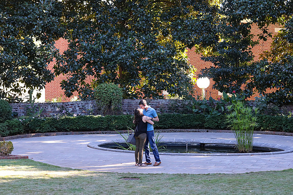 Stephen's Proposal to Morgan 2016
