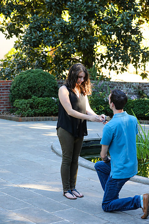Stephen's Proposal to Morgan 2016