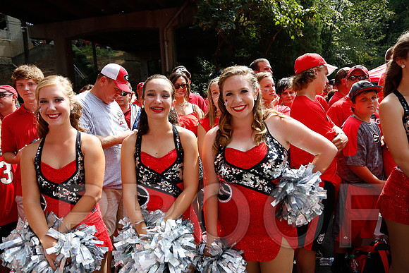 Georgia vs Clemson 2014
