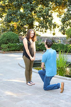 Stephen's Proposal to Morgan 2016