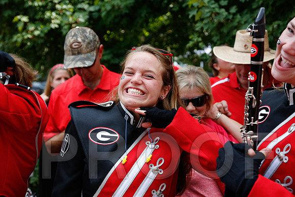 Georgia vs Clemson 2014