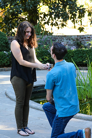 Stephen's Proposal to Morgan 2016