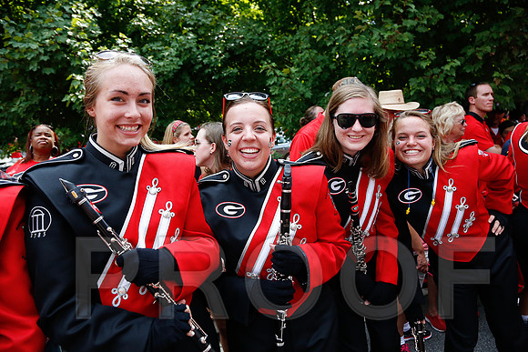 Georgia vs Clemson 2014