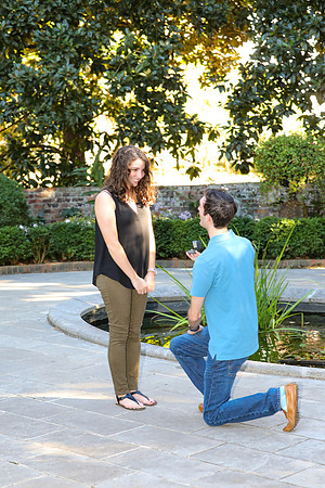 Stephen's Proposal to Morgan 2016