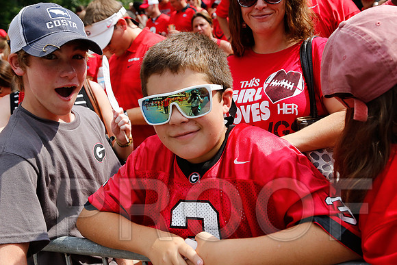 Georgia vs Clemson 2014