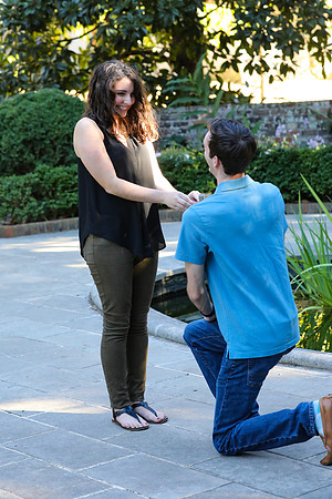 Stephen's Proposal to Morgan 2016
