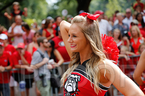 Georgia vs Clemson 2014