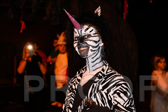 Wild Rumpus Parade 2016