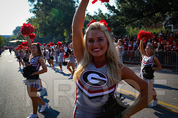 Georgia vs Nicholls 2016 Football