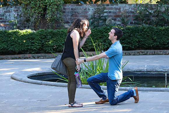 Stephen's Proposal to Morgan 2016