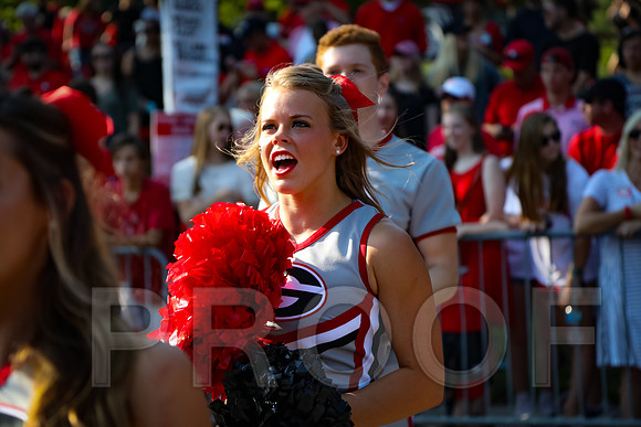 Georgia vs Nicholls 2016 Football