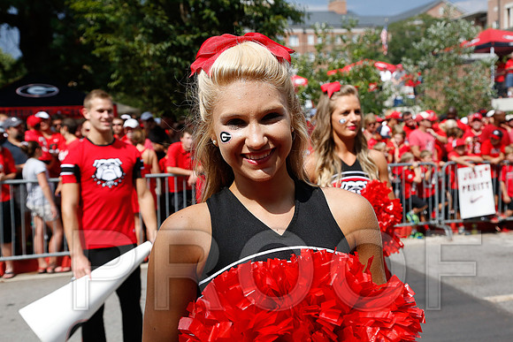 Georgia vs Clemson 2014