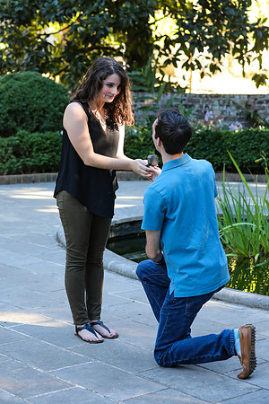 Stephen's Proposal to Morgan 2016