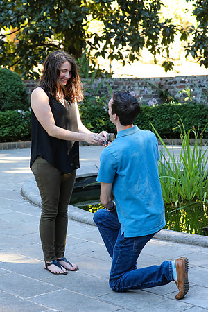 Stephen's Proposal to Morgan 2016
