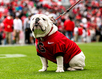 UGA X