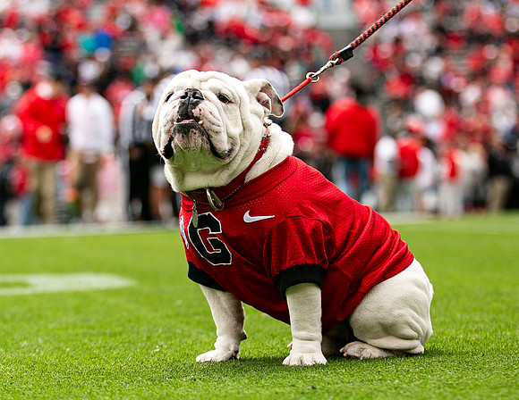 UGA X