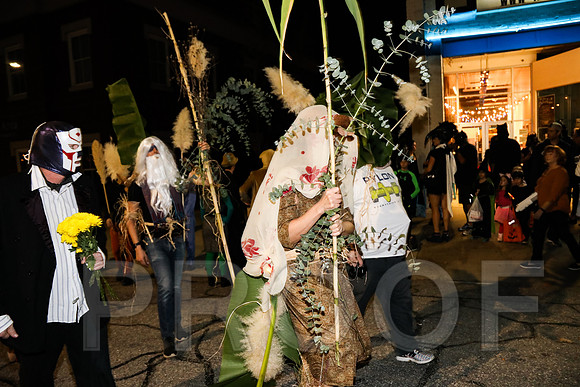 Wild Rumpus Parade 2016