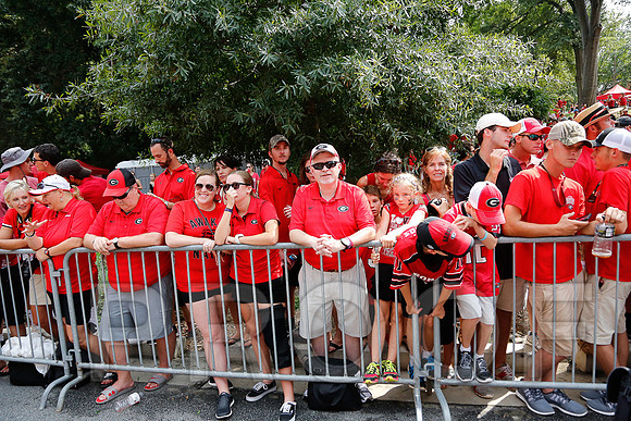 Georgia vs Clemson 2014