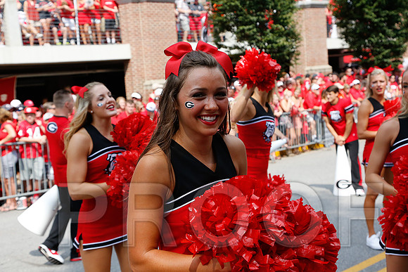 Georgia vs Clemson 2014