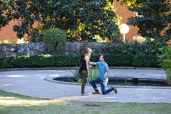 Stephen's Proposal to Morgan 2016