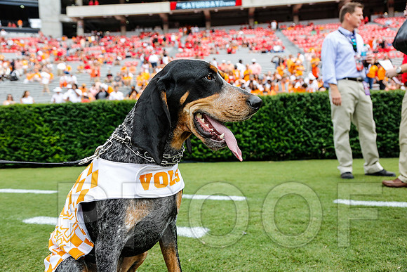 Georgia vs Tennessee Football 2014