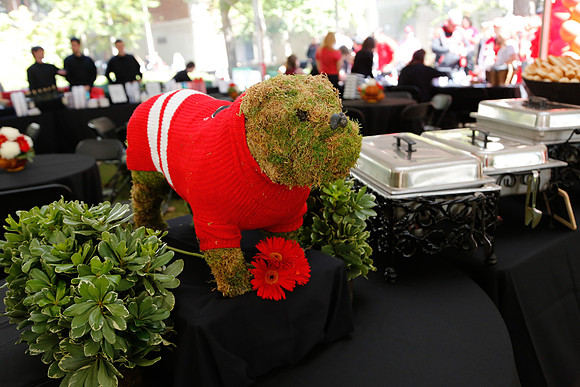 Terry College Homecoming 2014